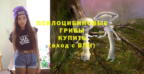 МДПВ Алзамай