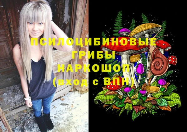 МДПВ Алзамай