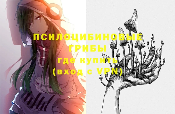 амф Алексин