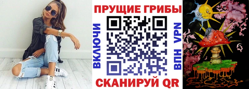 Псилоцибиновые грибы Psilocybe  Кимовск 