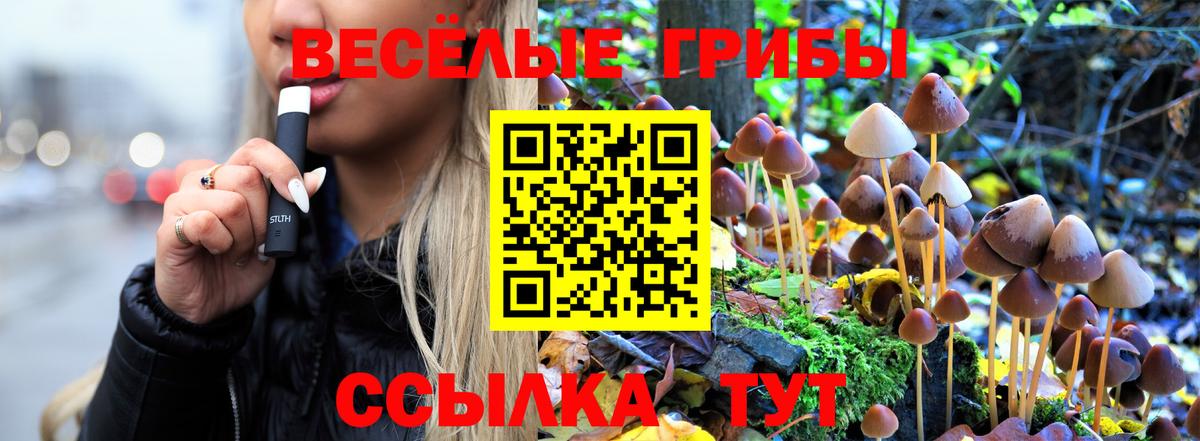 Галлюциногенные грибы GOLDEN TEACHER Кимовск